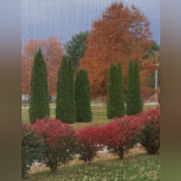 Meet your Posher, Tammy - Picture 8 of 9